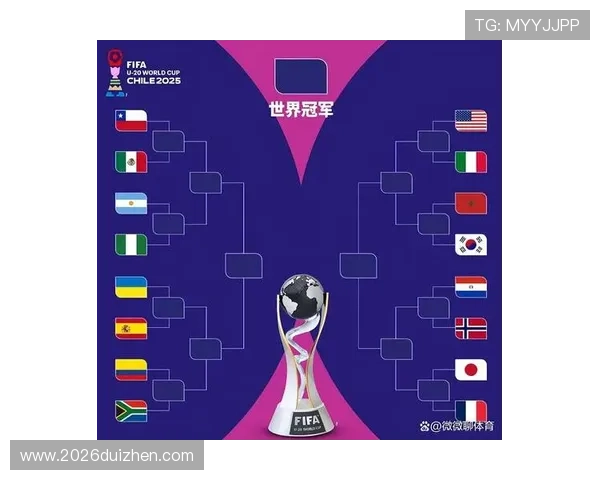 世界杯预选赛积分榜最新排名公布助力球迷掌握球队晋级形势