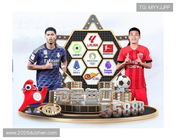2024年买球的app排行前十名，专业分析各大平台的优势与不足，助你明智选择
